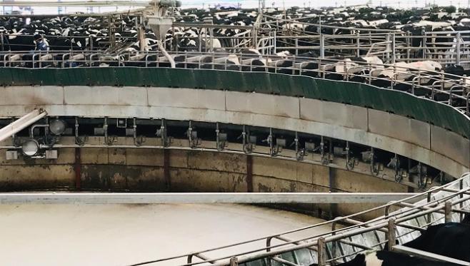 Chile: todos los productores lecheros, sin importar la escala, saben que es importante "prevenir y siempre apostar a la tecnología"